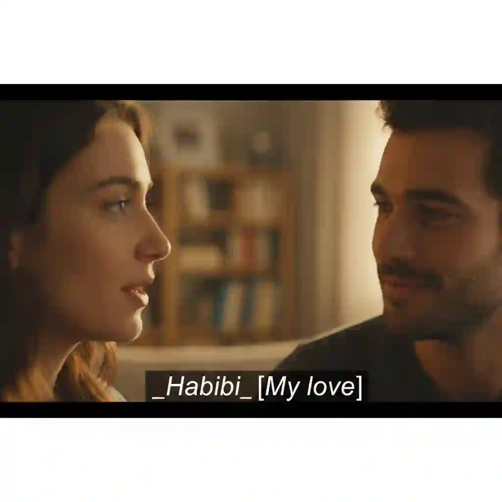 Case study visual addressing multilingual challenges in audiovisual translation subtitling, balancing original language intent, italicisation, bracketed translations, and clarity for diverse audiences in mixed-language scenes.